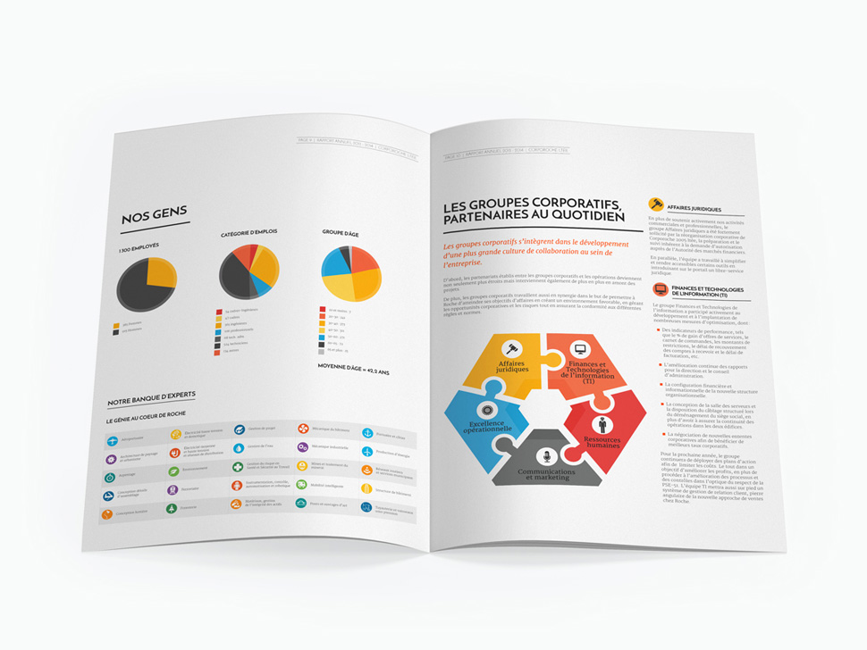 Roche's Annual Reports