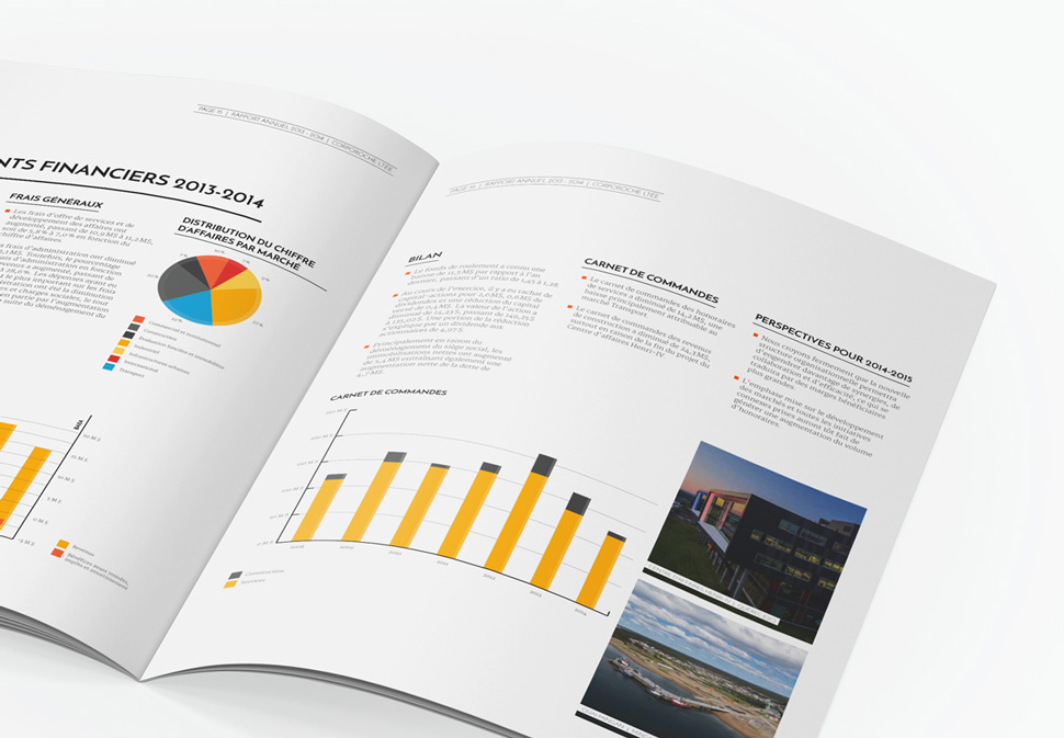 Roche's Annual Reports