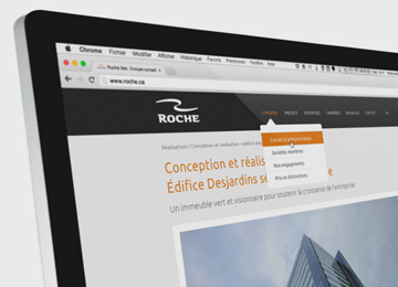 Roche's Website