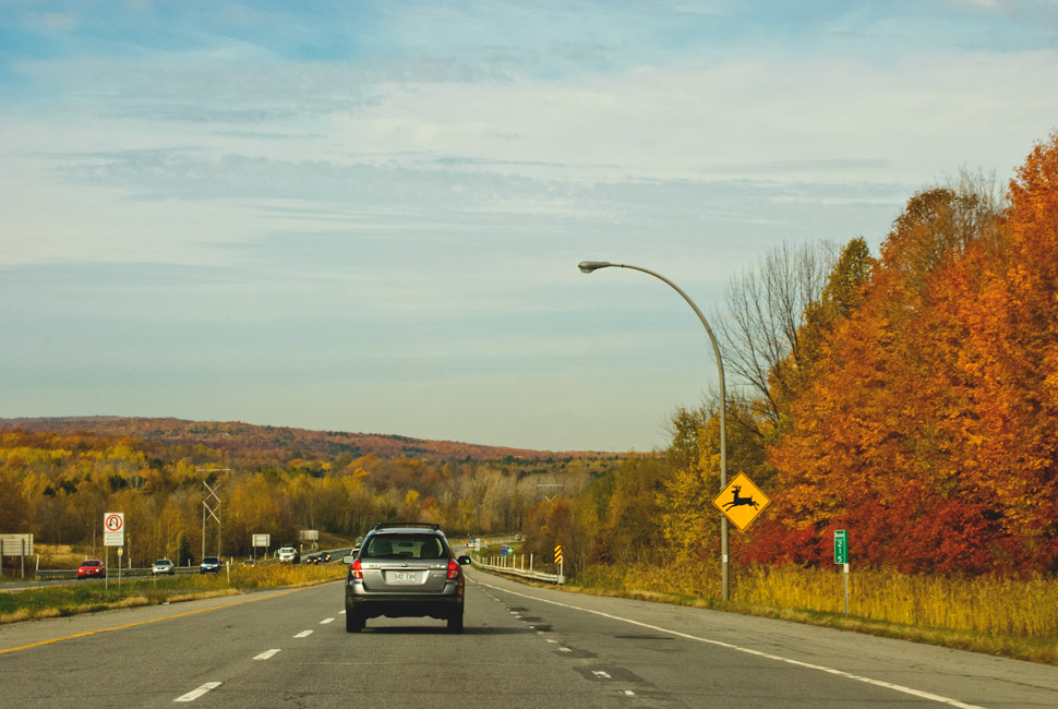 Autumn in the country